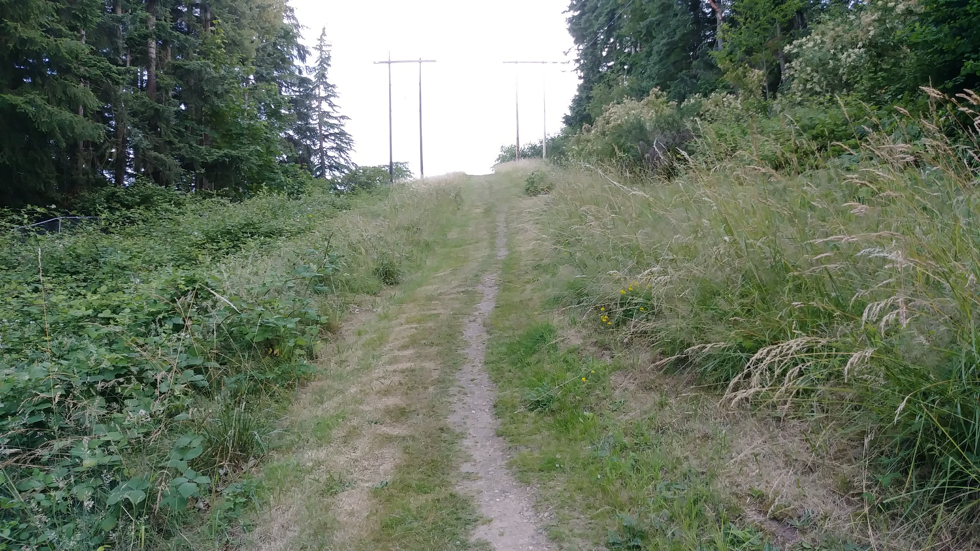../images/trails/olympus//03 Trail climbing past Cemetery Woods on left.jpg